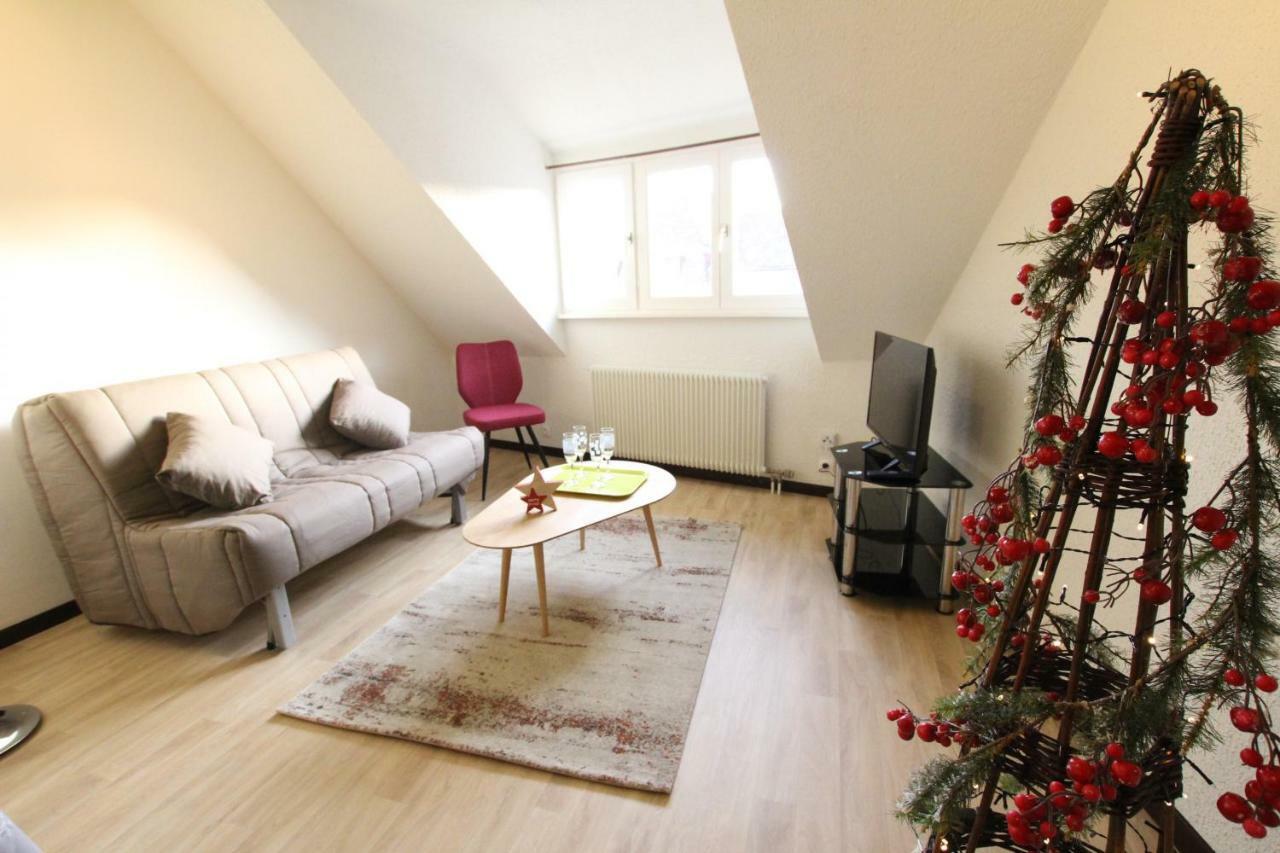 Colmar Historic Center - Cosy Appartement Turenne 2 - Bookingalsace المظهر الخارجي الصورة