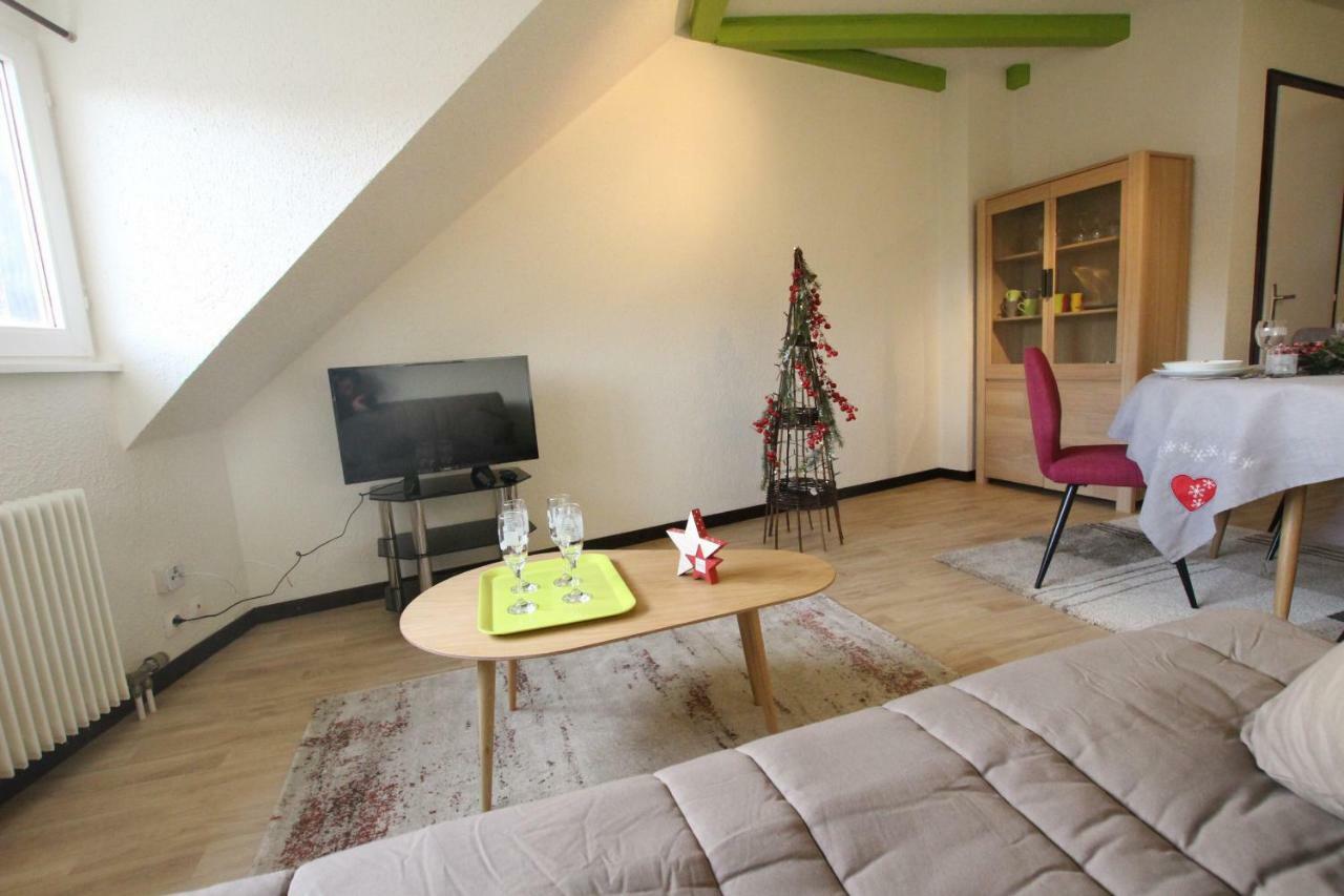 Colmar Historic Center - Cosy Appartement Turenne 2 - Bookingalsace المظهر الخارجي الصورة